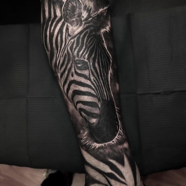 465443582_535621559181211_1744100346240656685_n