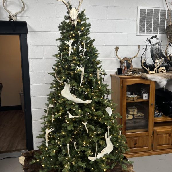 469542587_559271326816234_1854018336835911709_n