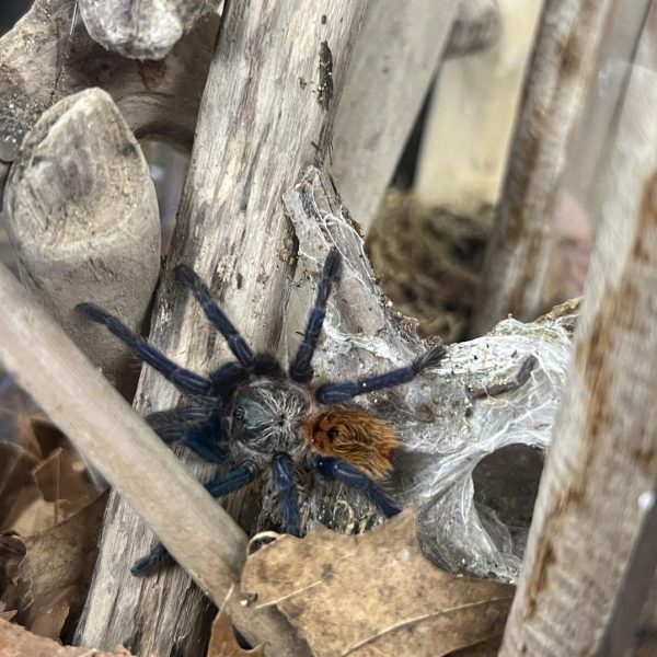 480665158_607596631983703_989727018372283912_n